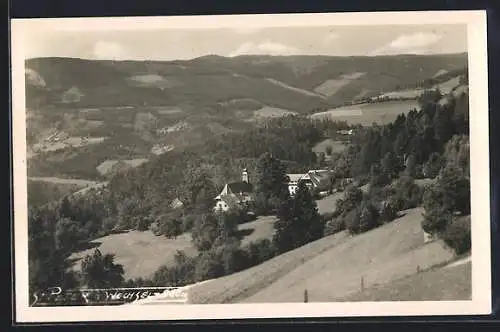 AK St. Peter a. Wechsel, Ortsansicht im Tal