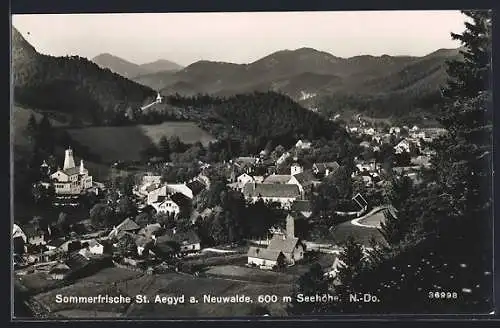 AK St. Aegyd a. Neuwalde, Ortsansicht vom Berg aus