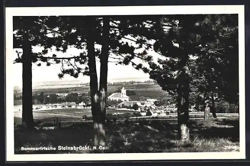 AK Steinabrückl /N.-Ö., Ortsansicht zwischen Bäumen hindurch