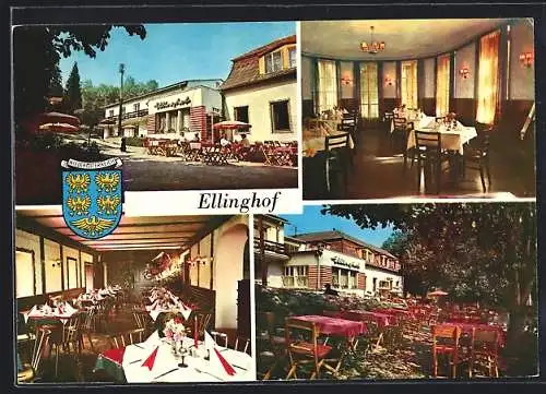 AK Kaltenleutgeben, Hotel-Restaurant Ellinghif mit Innen- und Gartenansichten