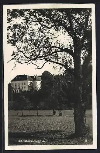 AK Seisenegg /N. D., Blick zum Schloss