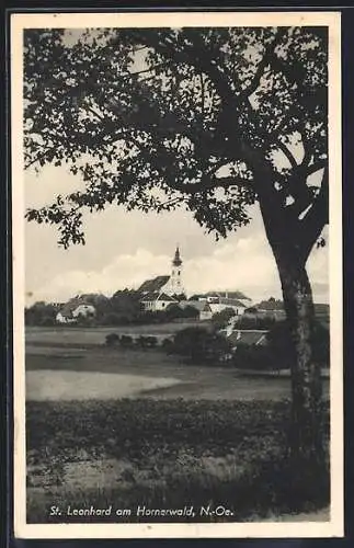 AK St. Leonhard am Hornerwald, Ortsansicht über Felder