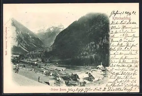 AK Bad Gastein, Grüner Baum im Kötschachthal