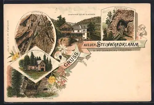 Lithographie Weissenbach am Triesting, Steinwandklamm, Schutzhaus auf dem Kreuth, Gasthaus beim Eingang