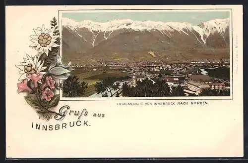 Lithographie Innsbruck, Totalansicht der Stadt nach Norden