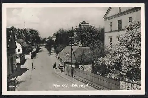 AK Kritzendorf bei Wien, Strassenpartie im Frühling