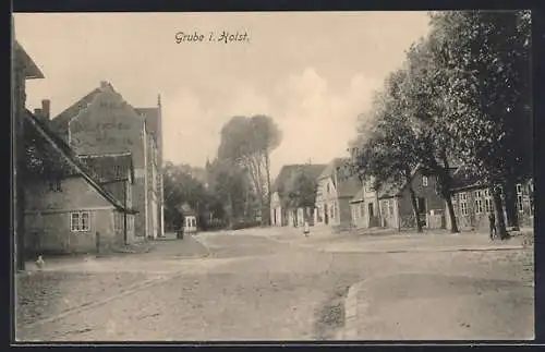 AK Grube / Holst., Ortspartie mit alten Häusern