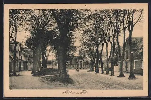 AK Nieblum / Föhr, Strassenpartie