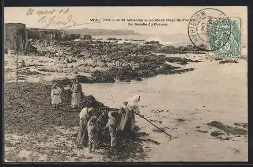 AK Quiberon, Pointe et Plage de Portivy, La Récolte du Goémon