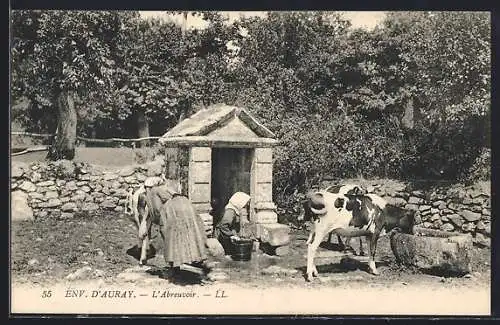 AK Auray, L`Abreuvoir avec vaches et paysannes au travail