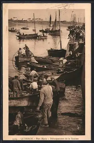 AK Quiberon, Port Maria, Débarquement de la Sardine