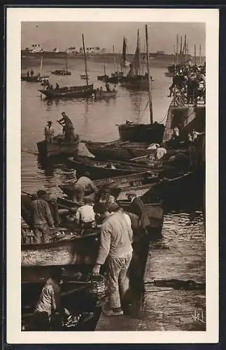 AK Quiberon, Débarquement de la Sardine