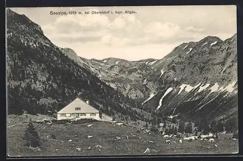 AK Oberstdorf i. bayr. Allgäu, Blick auf die Seealpe