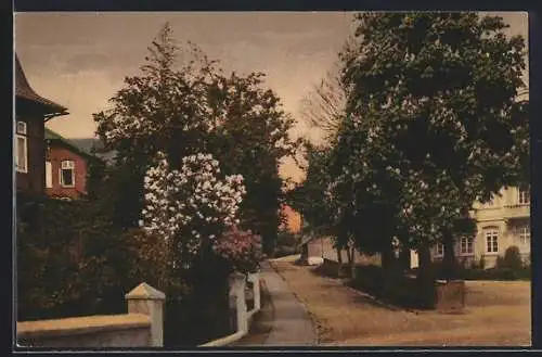 AK Bad Rothenfelde /Teutoburgerwald, Blick in die Parkstrasse