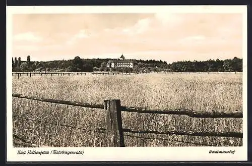 AK Bad Rothenfelde /Teutoburgerwald, Felder beim Weidtmanshof