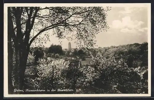 AK Guben, Bismarckturm in der Baumblüte