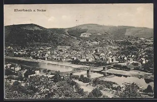 AK Eberbach a. Neckar, Panorama mit Brücke