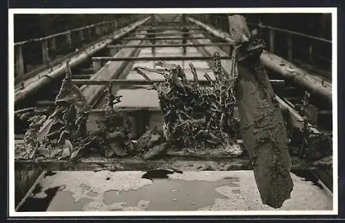 Foto-AK Bad Rothenfelde, Inneres Gradierwerk