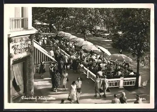 AK Düsseldorf, Cafe an der Königsallee