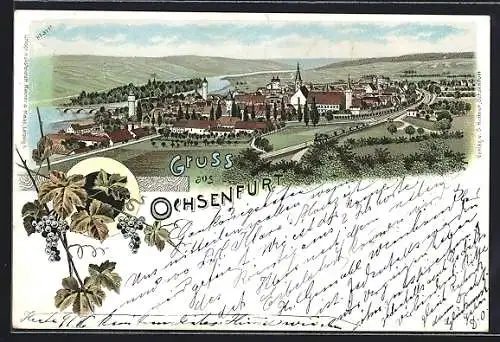 Lithographie Ochsenfurt / Main, Totalansicht am Fluss