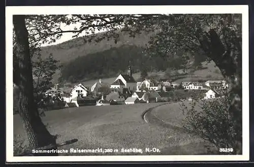 AK Raisenmarkt, Ortsansicht vom Wald aus