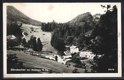 AK Waldegg, Partie im Dürnbachtal