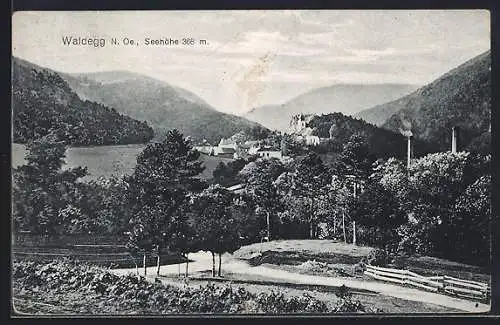 AK Waldegg, Ortsansicht mit Garten