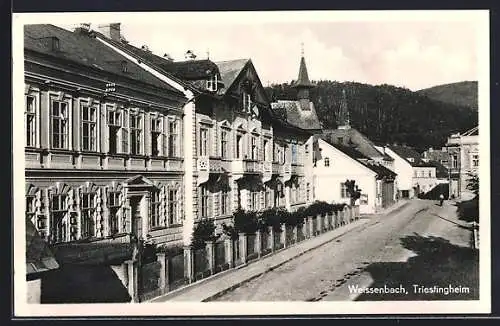 AK Weissenbach a. d. Triesting, Strasse im Sonnenschein