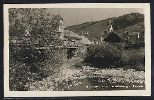 AK Schönberg a. Kamp, Ortsansicht vom Flussufer aus