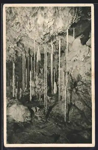 AK Katharinen-Höhle, Stalagmiten-Wäldchen