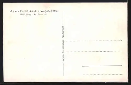 AK Kleinenkneten b. Wildeshausen, Freigelegte Grabkammer (ca. 2500 v. Chr.), Ausgrabung