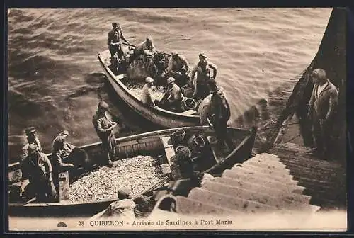 AK Quiberon, Arrivée de sardines à Port Maria