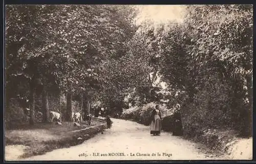 AK Île-aux-Moines, Le Chemin de la Plage