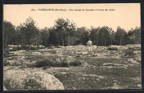 AK Pleucadeuc, Site sauvage de Lanvaux à la butte des dalles