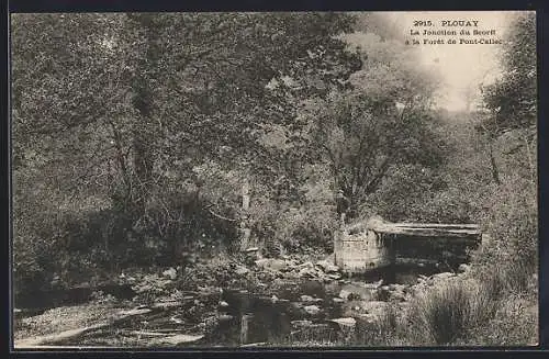 AK Plouay, La Jonction du Scorff à la Forêt de Pont-Calleck