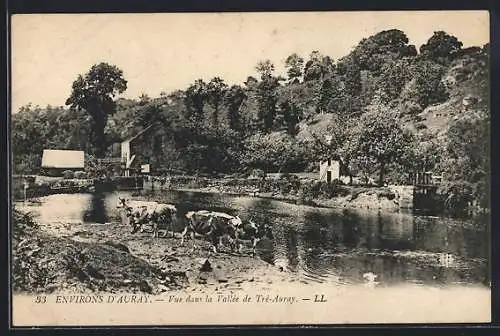 AK Tré-Auray, Vue dans la vallée avec vaches près de la rivière