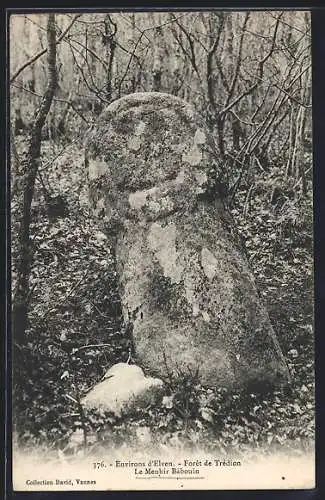 AK Trédion, Le Menhir Babouin dans la forêt