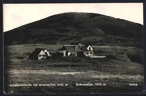 AK Lurgbauerhütte am Ameisbühel, Ansicht auf der Schneealpe