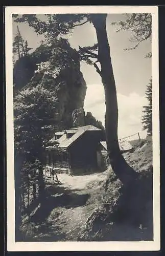 AK Kientalerhütte am Schneeberg