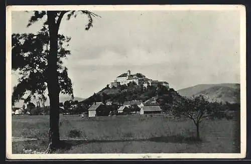 AK Mukacevo, Hrad, Panorama mit Burgblick