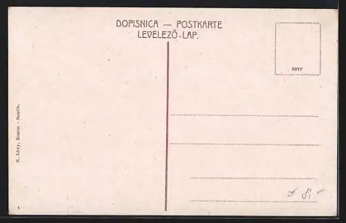 AK Zemun / Semlin, Izgled varosi, Totalansicht