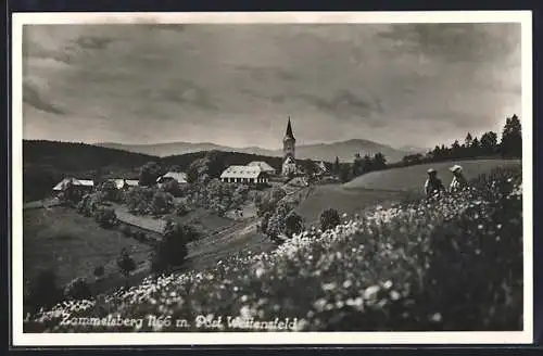 AK Weitensfeld im Gurktal, Zammelsberg mit Kirche