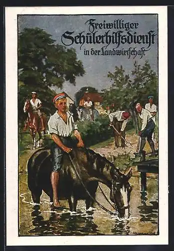 Künstler-AK Kgl. Sächs, Kriegswirtschaftsamt Dresden, Freiwilliger Schülerhilfsdienst in der Landwirtschaft