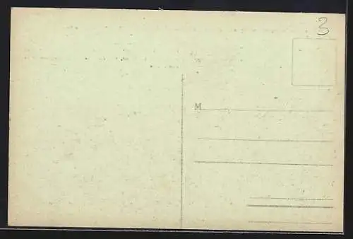 AK Beynac, Vue de l`Entrée du Château Féodal et des tours carrées imposantes