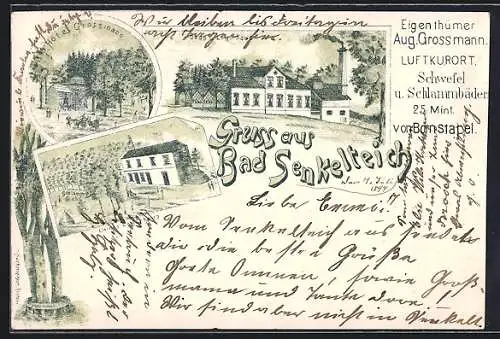 Lithographie Bad Senkelteich, Hotel Aug. Grossmann, Bade- und Logirhaus, Kleines Logirhaus