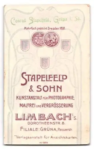 Fotografie Stapelfeld &amp Sohn, Limbach i. Sa., Dorotheenstr. 8, Porträt eines Herrn mit Bart und elegantem Anzug