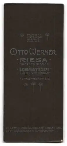 Fotografie Otto Werner, Riesa, Goethestrasse, Porträt einer eleganten Dame