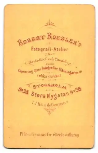 Fotografie Robert Roesler, Stockholm, Stora Nygatan 38, Porträt einer Frau mit elegantem Haarschmuck