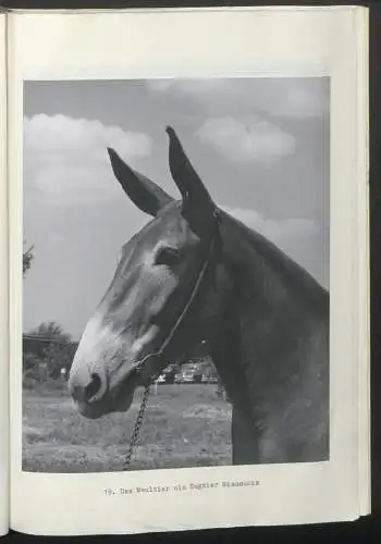 2 Fotoalben mit 68 Fotografien, Ansicht Missouri / MO, Staatsfotograf Gerald R. Massie (1911-1989) state photographer