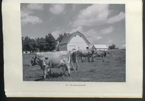 2 Fotoalben mit 68 Fotografien, Ansicht Missouri / MO, Staatsfotograf Gerald R. Massie (1911-1989) state photographer